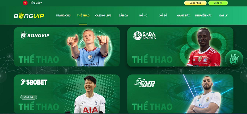 Khám phá các trò chơi hay mới nhất cùng các trò chơi hay được yêu thích tại Việt Nam